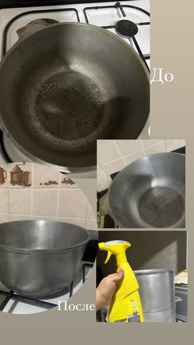 Sancnist антижир