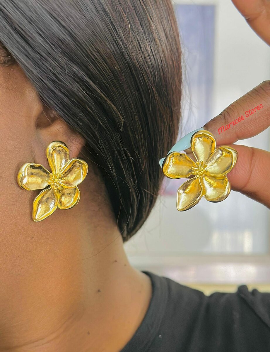 Women's Stainless Steel Earrings