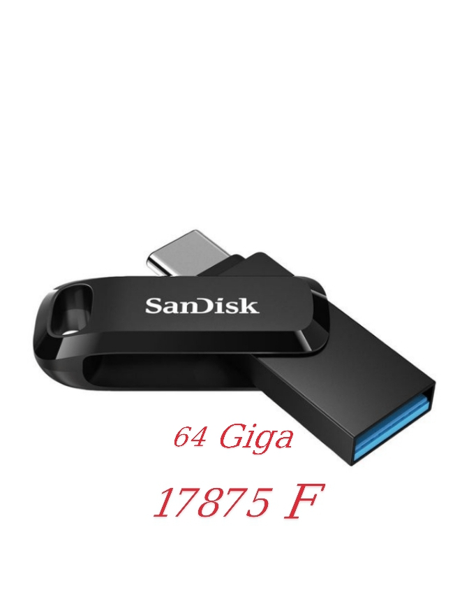 Clé USB Sandisk 64 Go