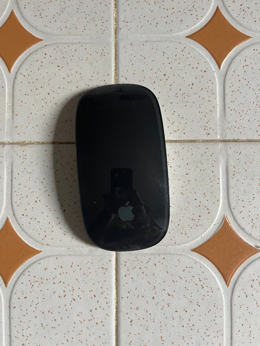 Souris Apple Magic Mouse 2