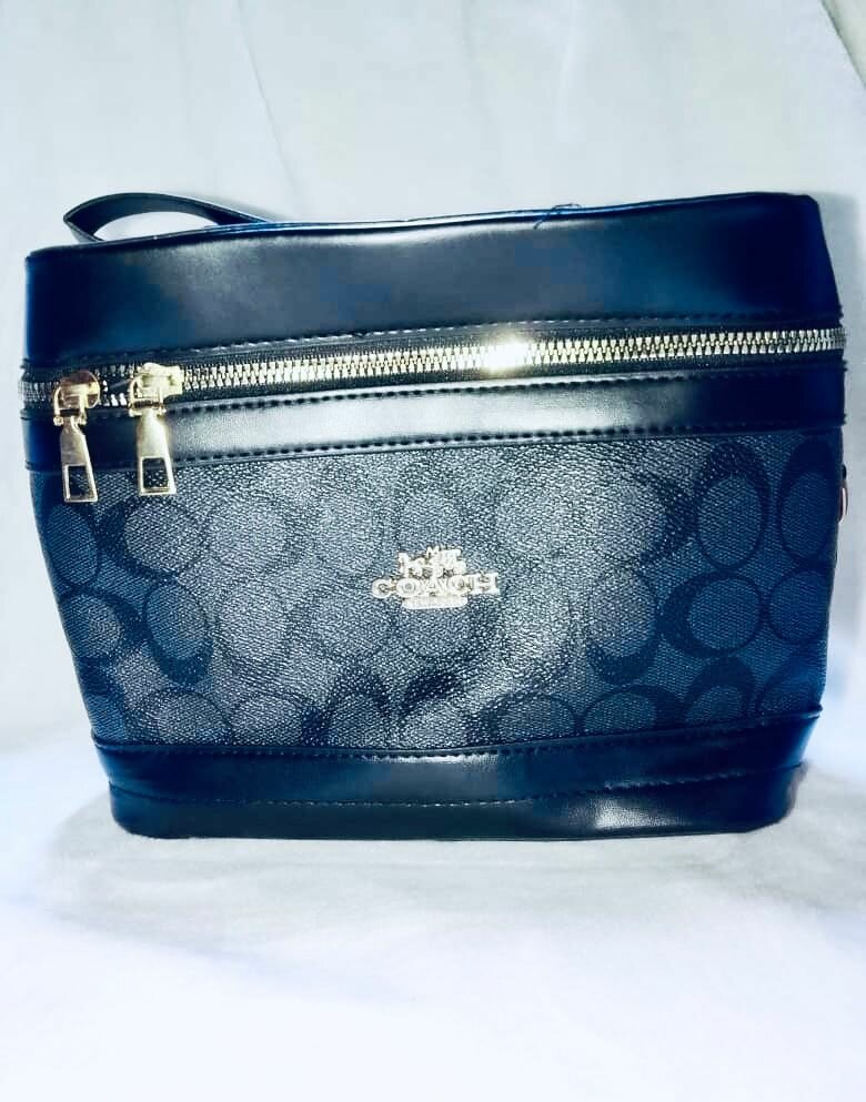 Sac à main Coach élégant