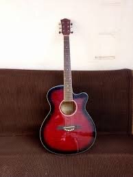 Acoustic Guitar