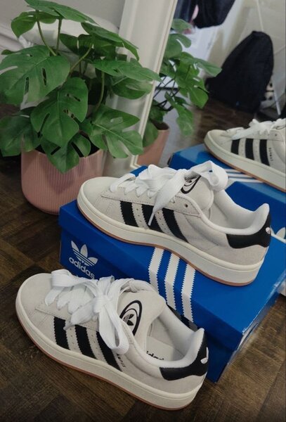 Adidas campus original