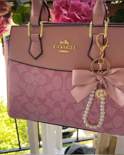 Coach Dame rose & charms