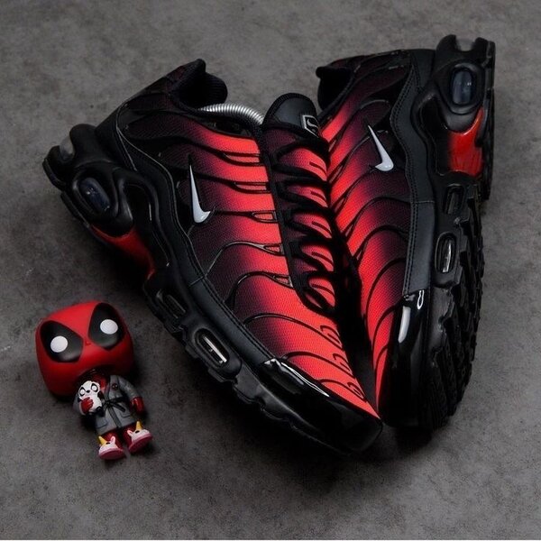 Chaussures de Sport Air Max