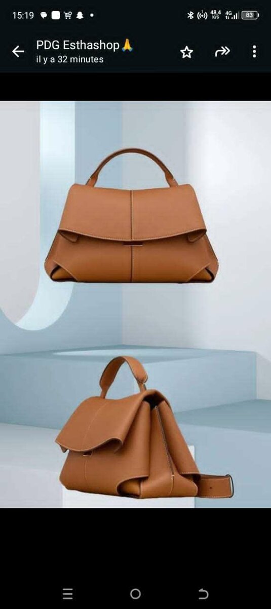 Sac à main en cuir lavishique