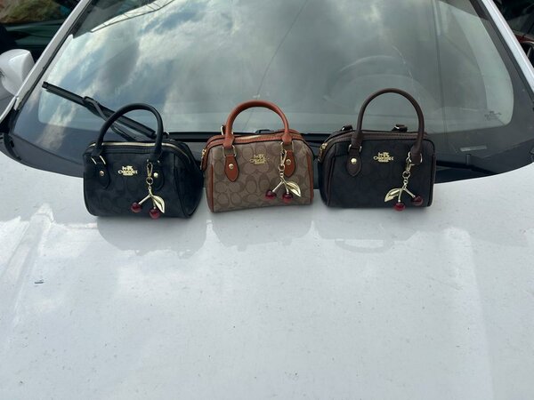 Sacs à main Coach élégants