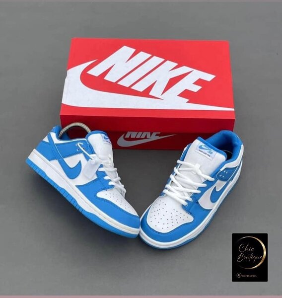 Nike Dunk Low Bleu Blanc