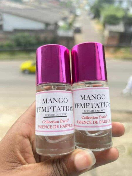 Ensemble de Mini Parfums Collection Paris