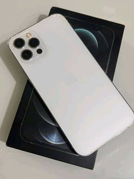 iPhone 12 pro max