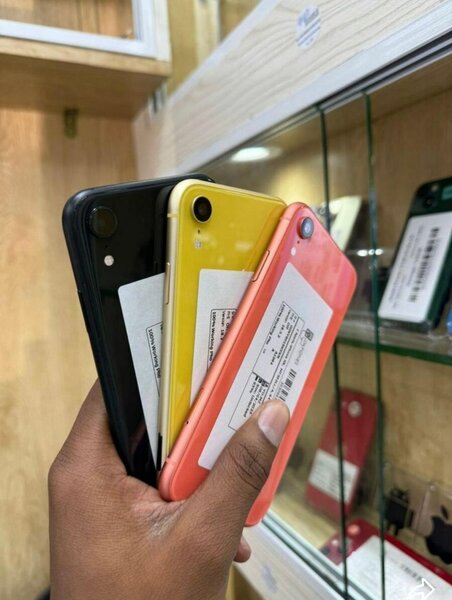 iPhone XR Couleurs Vives