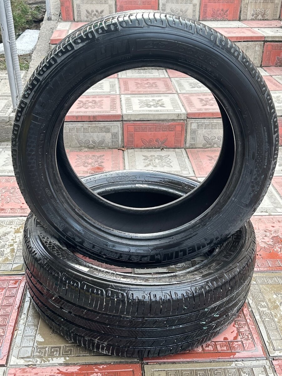 Резина летняя R18 Michelin