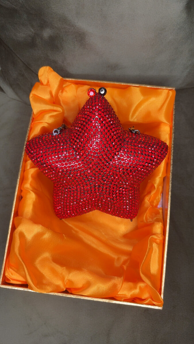 Pochette étoile strass élégante