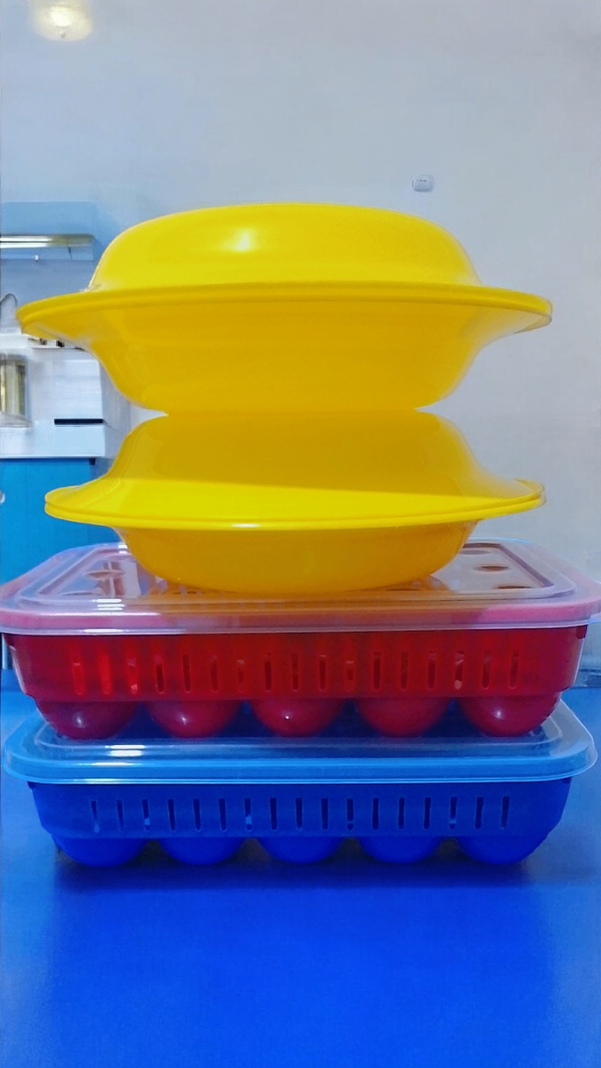 Contenants à œufs en plastique colorés