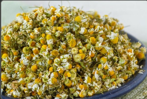 Camomille Séchée Bio 25g