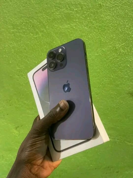 iPhone Pro Max 256 Go