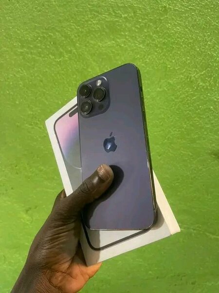 iPhone Pro Max 256 Go