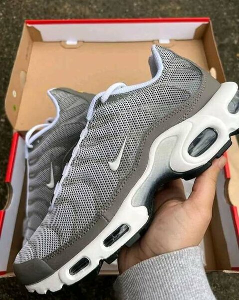 TN   Plus