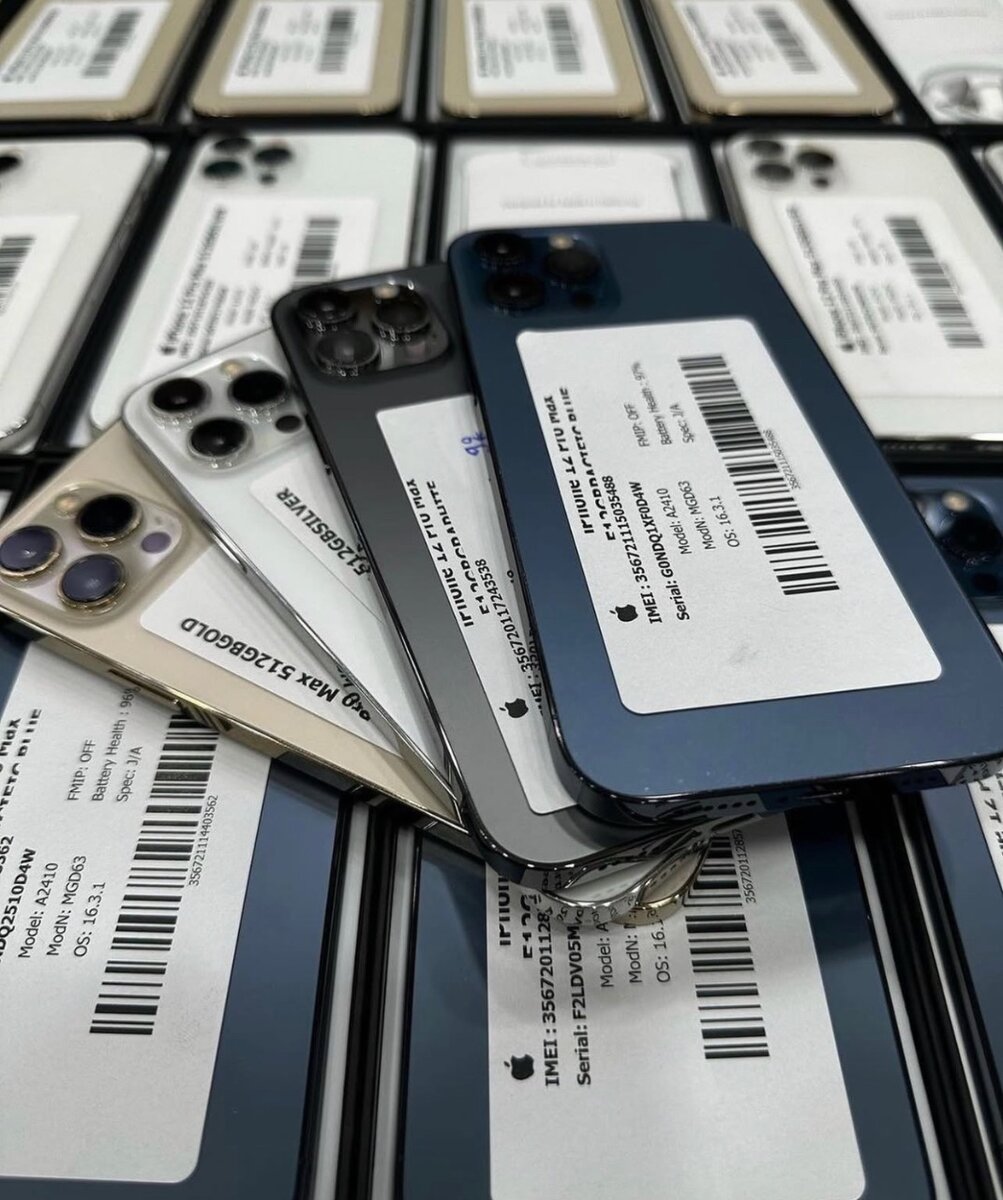 iPhone 12 Pro Max