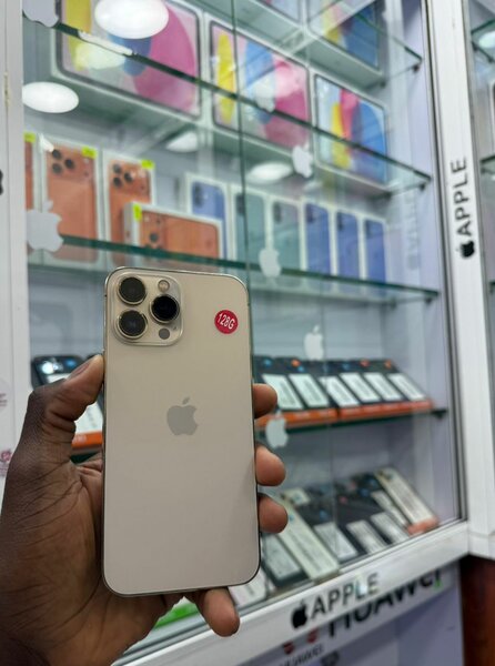 13 pro max 128 Go tout dorigi