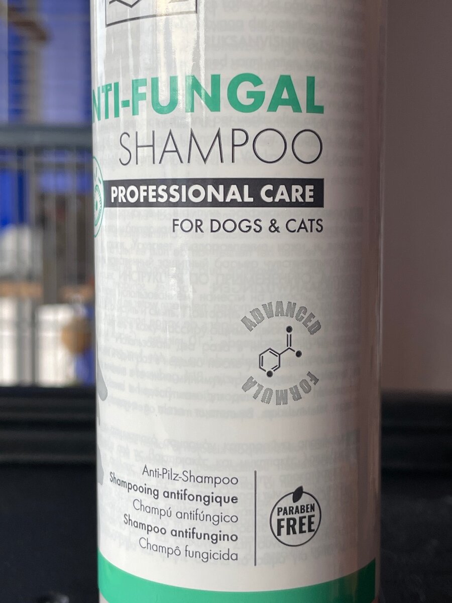 Shampoing antifongique