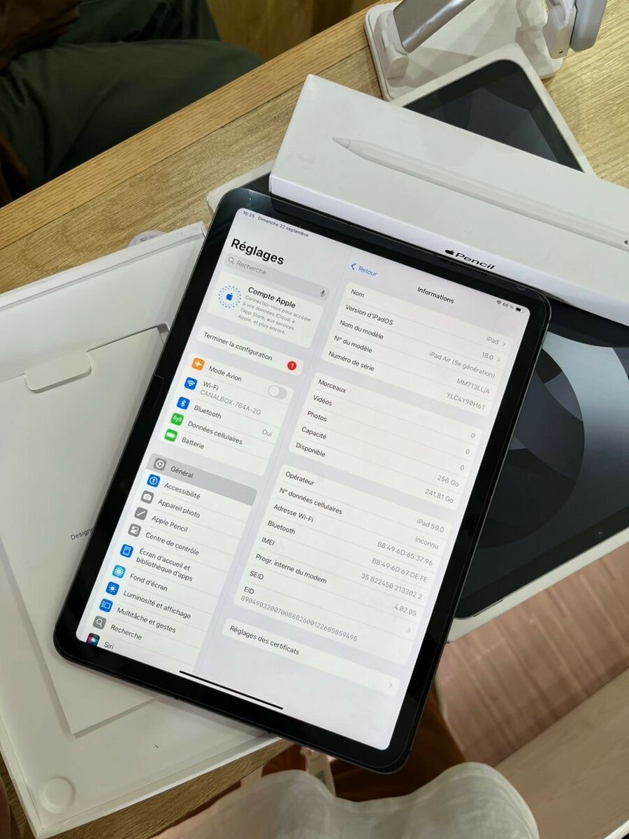 iPad Air 256 giga 5e génération
