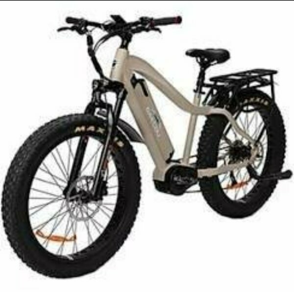 Vélo électrique fat bike