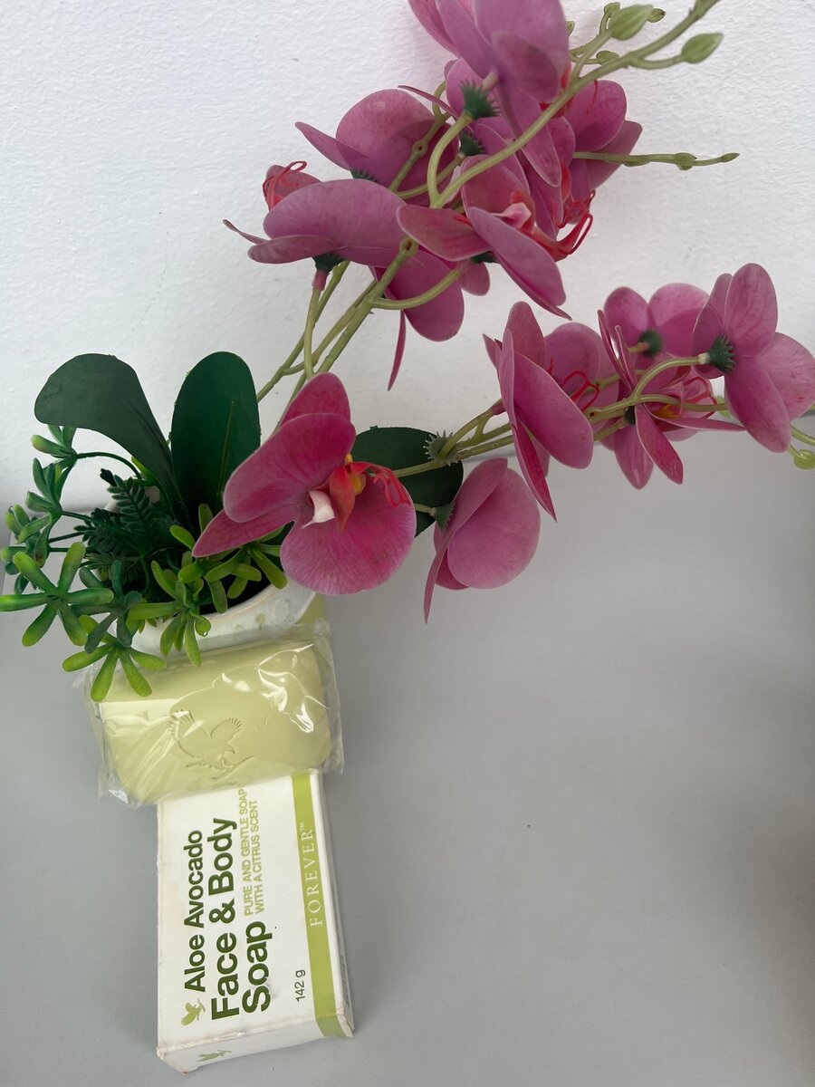 Savon Visage Corps Aloe Avocat