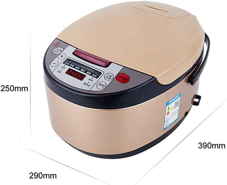 Cuisseur Professionnel de riz 5L