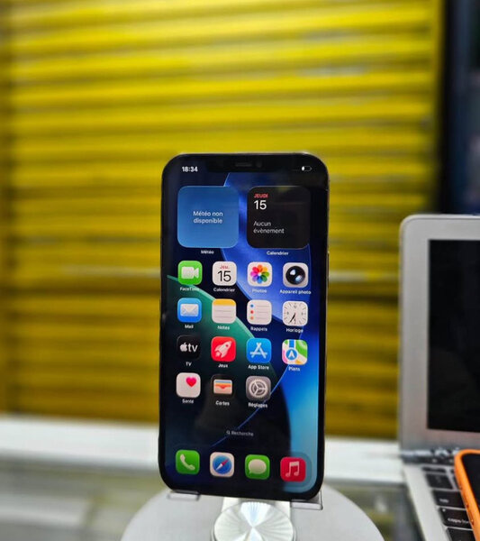 iPhone 13 Pro Max Or 256 GB