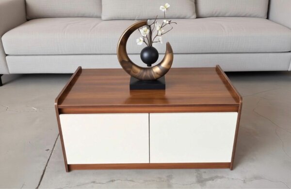 Table basse moderne en bois