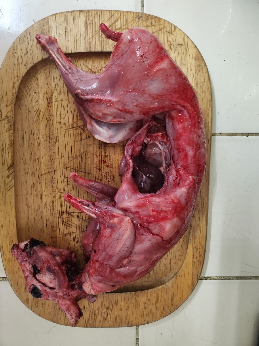 Viande de Lapin Frais Découpée