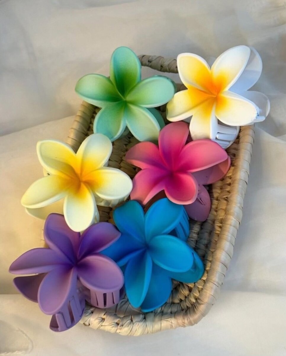 Lot de pinces à cheveux colorées