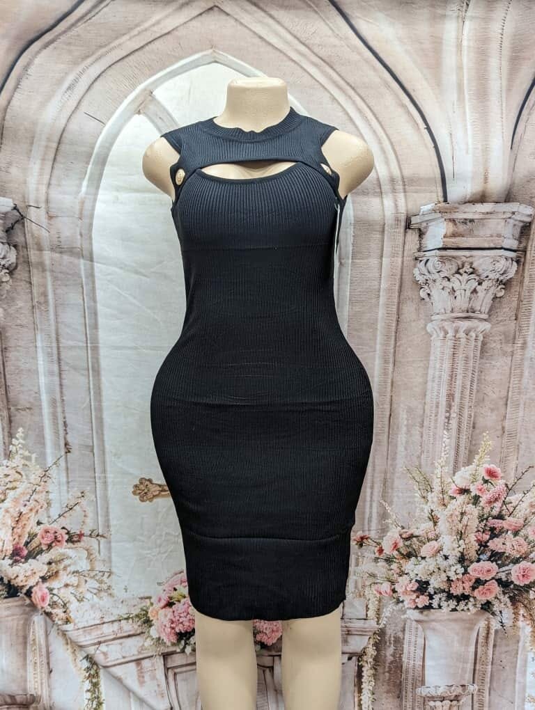 Beautiful and stylish women's dress