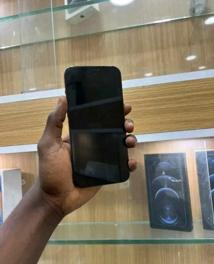 iPhone 12 Pro Max Gris