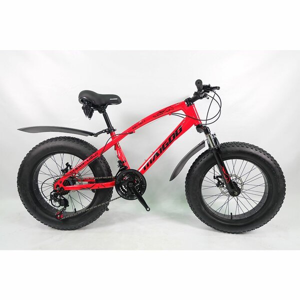 20 inch fat bike