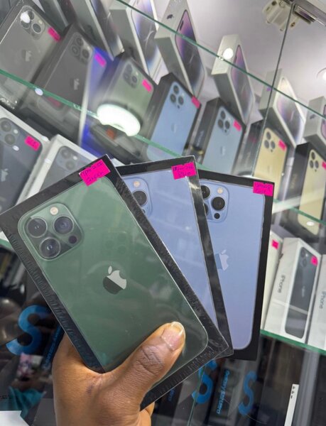 Apple iPhone 13 Pro Max