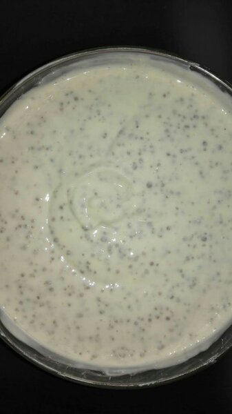 Lait caillé et dêguê