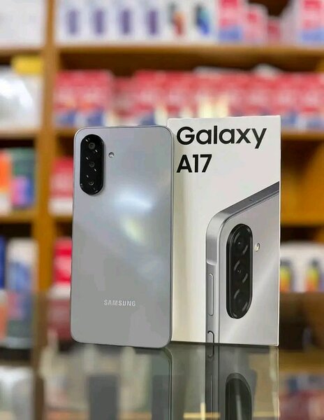Samsung Galaxy A17 Silver