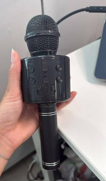 Micro karaoké sans fil noir