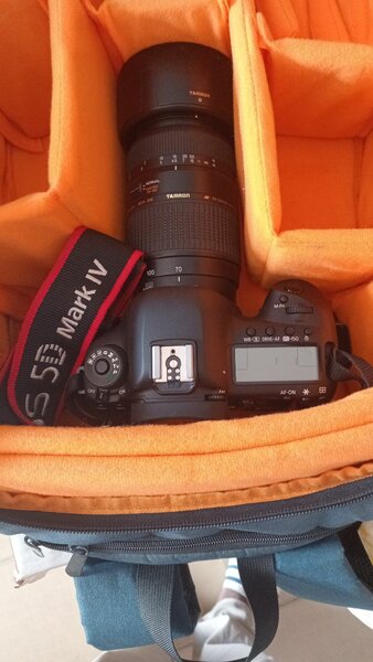 Appareil Photo Réflex Canon EOS