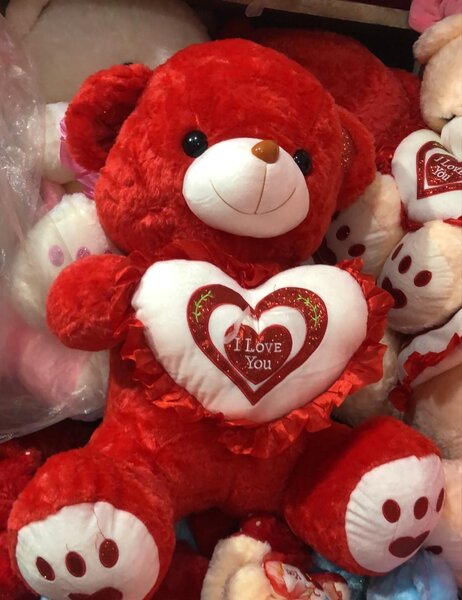 Nounours en peluche grand