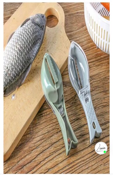 Écailleur de Poisson Efficace