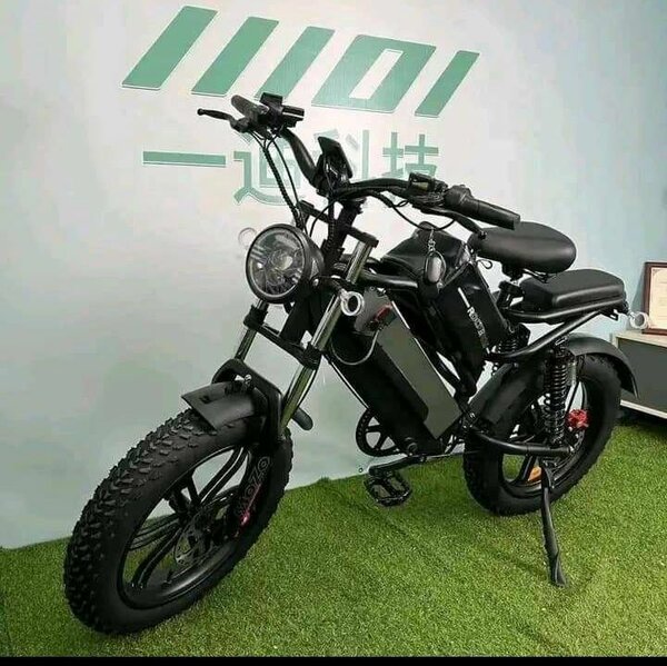 Vélo Électrique Tout-Terrain