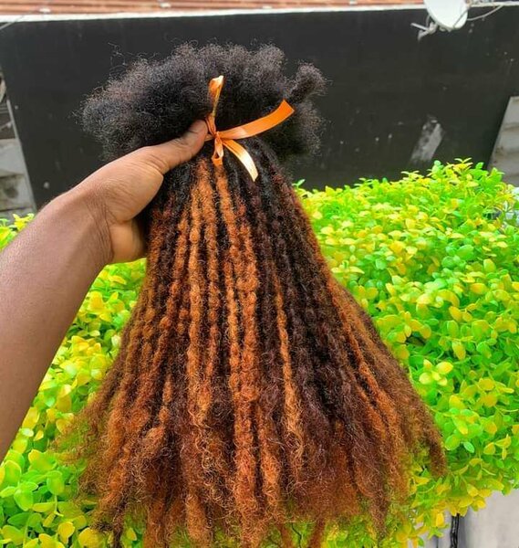 Tige dread locks