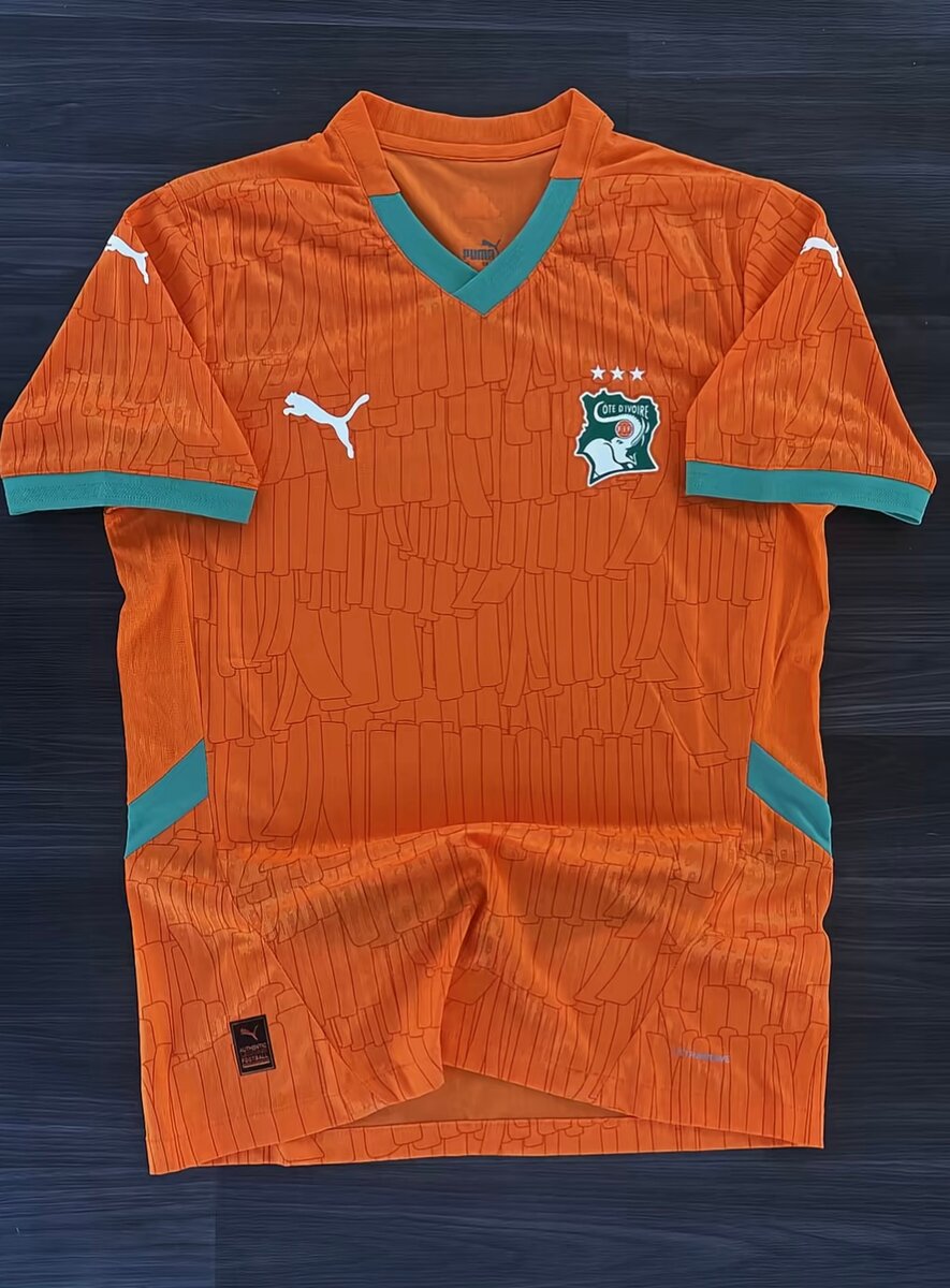 Maillot Côte d'Ivoire Puma