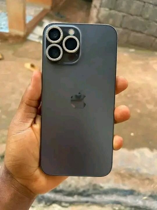 iPhone 13 Pro Max Gris