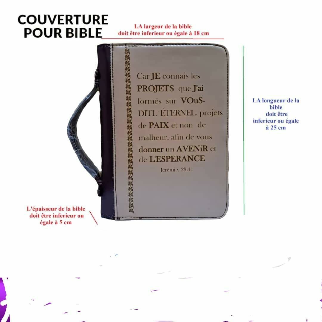 Sac en cuir élégant