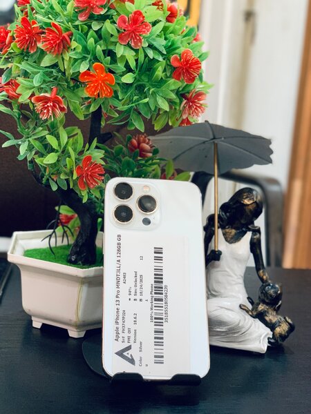 iPhone 13 Pro Max 128Go