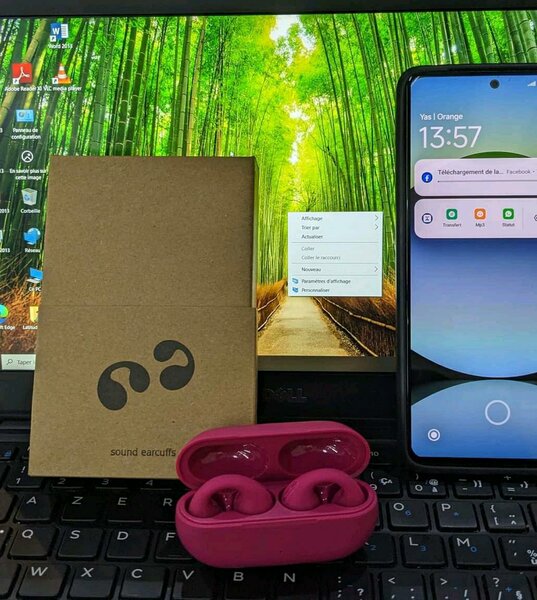 Écouteurs Bluetooth sans fil